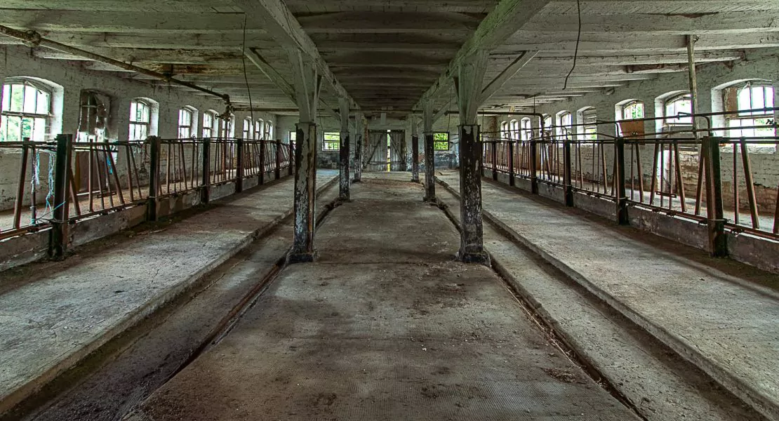 Denkmalimmobilie Kloster Zinna, Innenansicht
