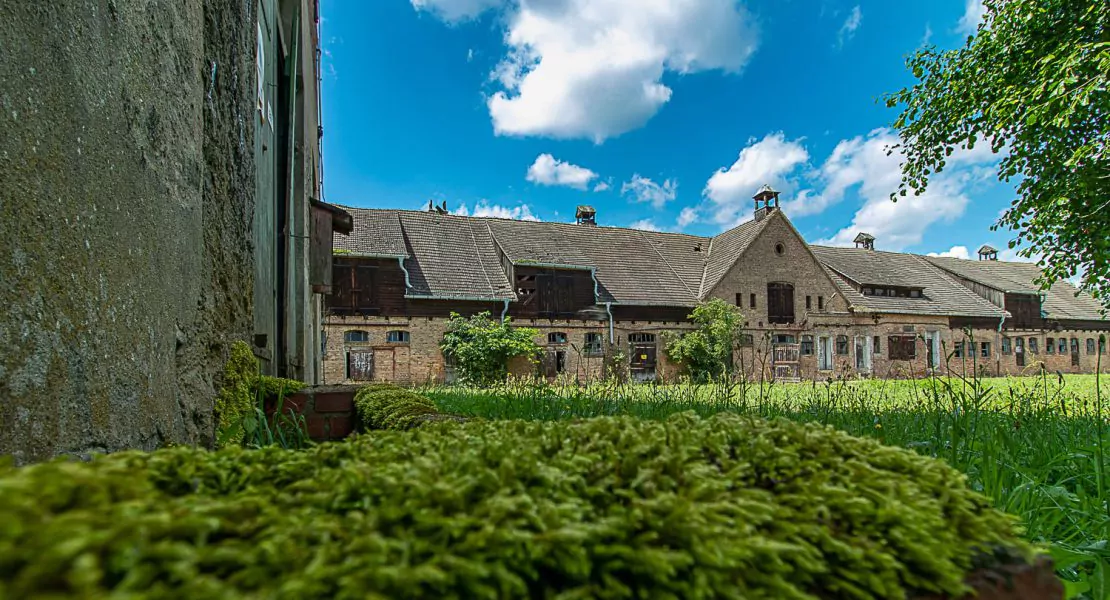Denkmalimmobilie Kloster Zinna, Außenansicht mit Grünfläche