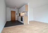 Bestandsimmobilie Dresden-Neustadt, Innenansicht Küche, Eingangs- und Wohnbereich der Einraumwohnung