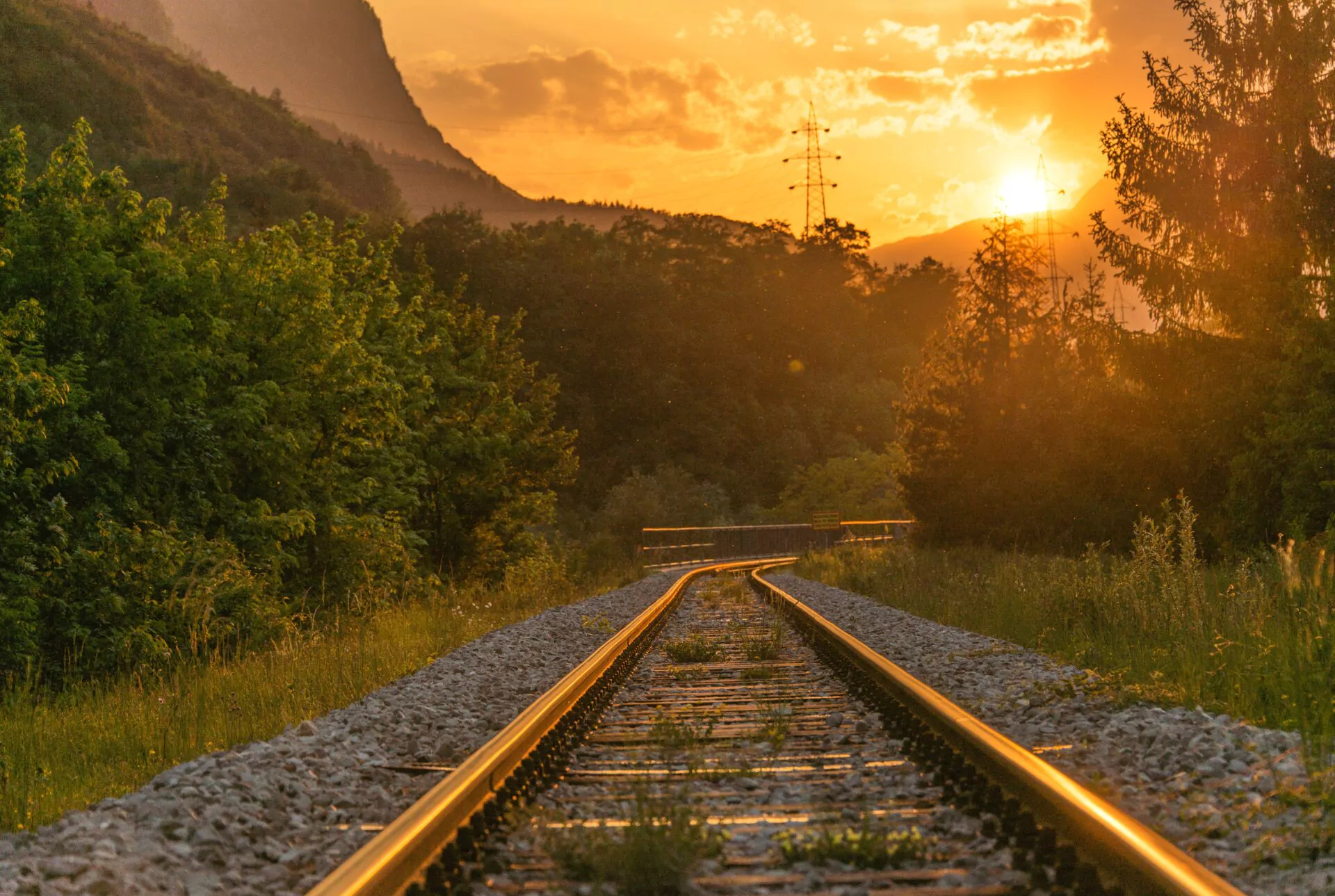 Bahngleise umgeben von Natur bei Sonnenuntergang