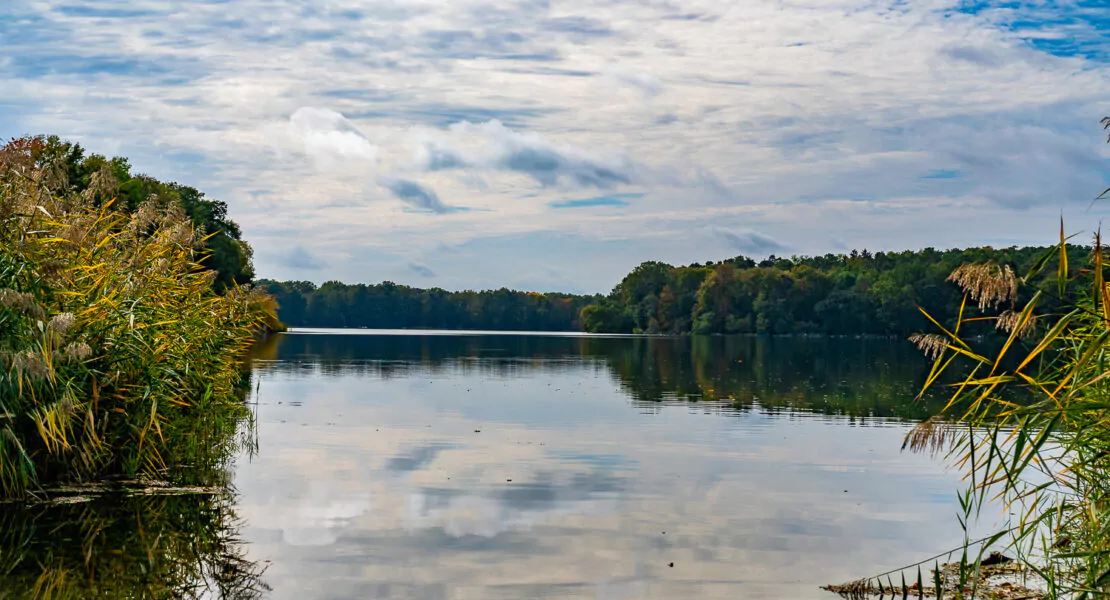 Natursee mit spiegelndem Wasser umgeben von Wald am Schloss Siethen