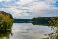Natursee mit spiegelndem Wasser umgeben von Wald am Schloss Siethen